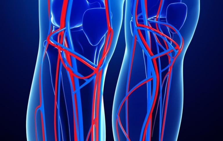 superficial-veins-vs-deep-veins-usa-vein-clinics