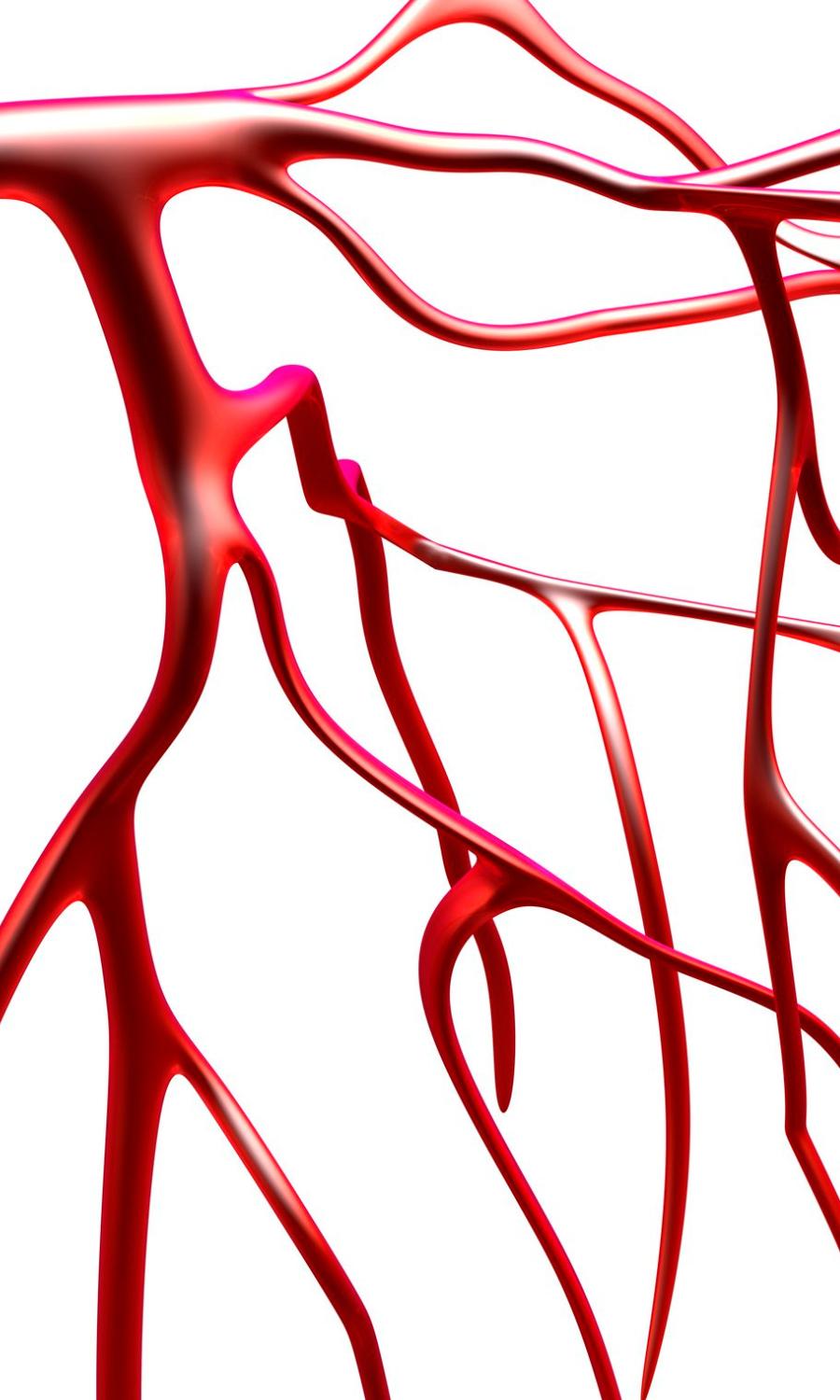 Different Between Arterial Venous Insufficiency USA Vein Clinics   Untitled Design 14 